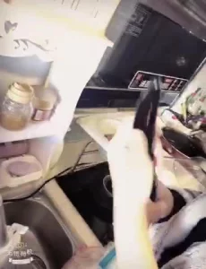 茄子插逼